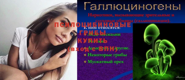 меф Вяземский