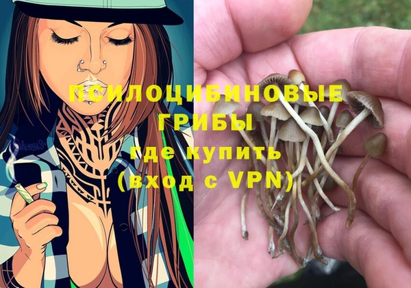 соль ск Вязьма