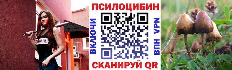 Псилоцибиновые грибы Magic Shrooms Железногорск